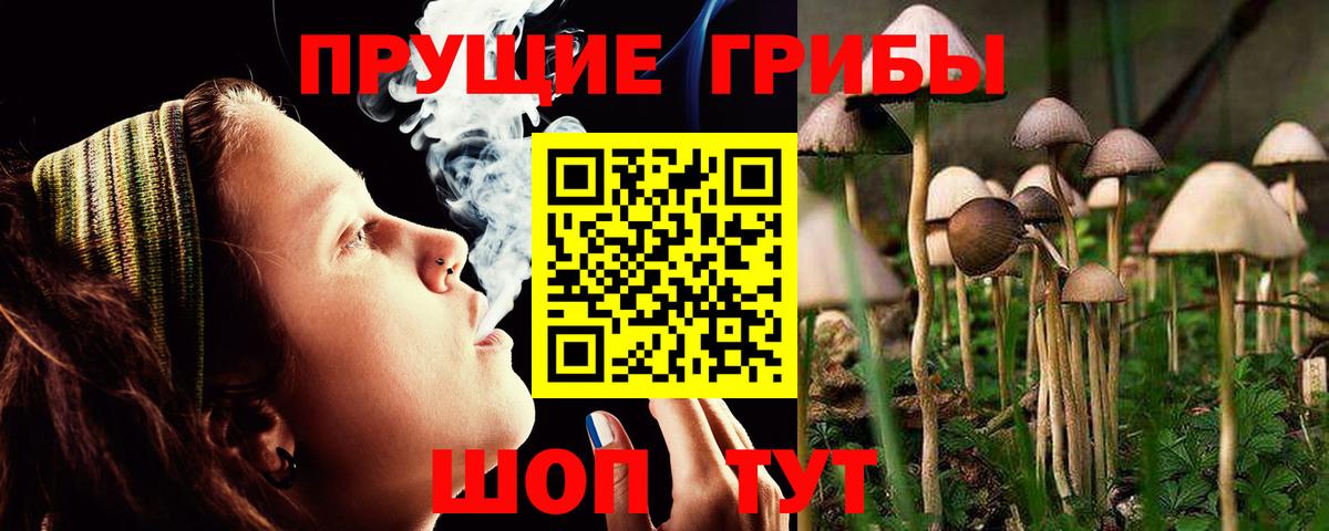 Галлюциногенные грибы мицелий Брянск